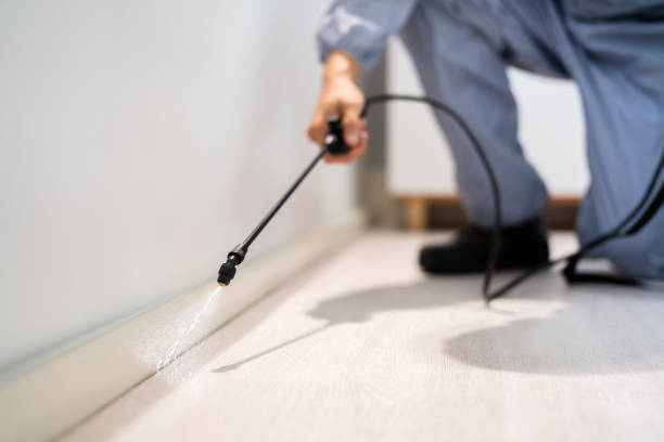 Licensed Termite Control service in Anson County County, NC - Nex Pest Control