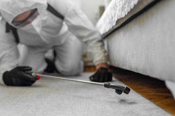 Professional Termite Control technician working in Anson County County, NC